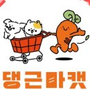 부산애견 이미지