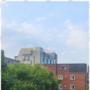 행정사사무소 이유 이미지