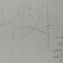 오박사 티스토리