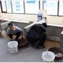 대전타일학원 네이버블로그