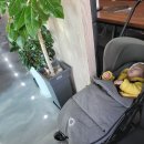 윤식육식당 이미지