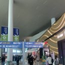 현대면세점 인천공항 2터미널 225번 게이트 서편 인도장 수령 후기 쇼핑템[브랜든/춘식이/안경]