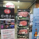 신의한소 이미지
