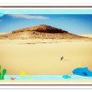 로바니코 이미지