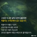 이상한나라의수족관