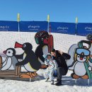 지동 | 평창 휘닉스파크 오렌지동 숙소 후기, 스노우빌리지 패키지로 다녀온 솔직 리뷰