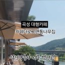 카페더로그앤통나무집 이미지