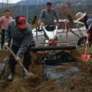 보람농장 이미지