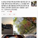 풍산태사로(서) 이미지