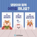 영진펫 베리타스알파