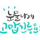 동행동물병원 이미지