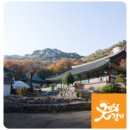 김풍익전적비 | 흥미진진한 경기도 그곳에 가고 싶다 - 버라이어티 한 의정부 가볼 만한 곳