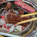 원주 애견동반 식당 추천, 횡성고향한우식당 투쁠나인 소고기 솔직후기