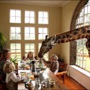 호텔 더 레드 이미지