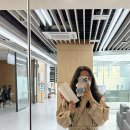 유방5통 이미지