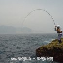 유영상회 이미지