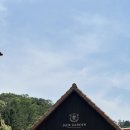 살롱 드 제이드 | 6월의 제이드가든│가평 가볼만한곳, 제이드가든 수목원 솔직후기