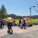 낙동제방 자전거도로 이미지