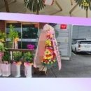 여수강남요양병원 이미지