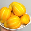 나연농장 이미지