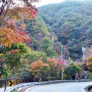 분설담화장실 이미지