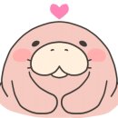 헬스보이짐 앤 필라걸 용문역점 이미지