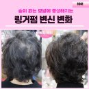 두피 커버와 자연스러운 볼륨 업 - 행복이 시작되는 빠쁘빠뿌 미용실