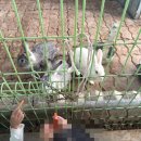 법곳길 | [아이랑 갈만한곳] 별이네 딸기 체험 농장 일산 딸기따기 체험