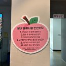 조치원읍도서관 | 세종 아이랑 가볼만한곳_도도리파크 방문후기🍑
