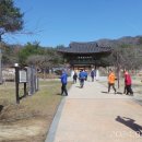 무위사 주차장 이미지