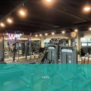 더블유핏