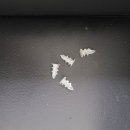 한일시스템LED조명