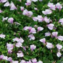 두륜산농장 이미지