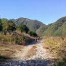 해미레2 이미지