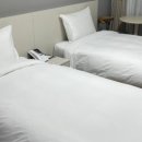 솔라고 명동 이미지