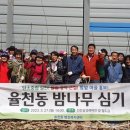 밤밭골