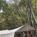 옥당걸숲속관광농원 이미지