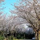 신풍리-3 이미지