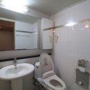 까르띠움 이미지