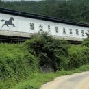 울산EDA승마장 이미지