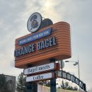 오랜지 | [수원 대형 베이커리카페] 크리스마스에 진심인 오렌지베이글 후기