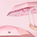 스타벅스 묵동점 | [내돈내산] 2026 한정 스타벅스 체리블라썸 MD 블루밍 코코 3단 우양산 구매한 후기