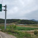자란도민박
