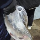 축제 | 2026 홍천강 꽁꽁축제 주말 참여후기, 꿀팁