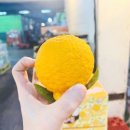 싱싱과일마트