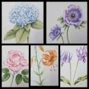 보테니컬아트 이미지