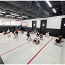 용인대푸른태권도 이미지