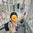 엄마존 | [이탈리아 0일차] 티웨이 직항 프리미엄존 후기 l 로마 가성비 숙소 추천과 공항택시 이용법