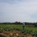 오만농장 이미지