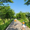 금광초교길 이미지